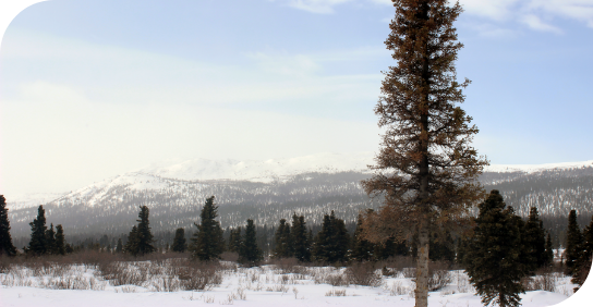 Carcross_2013_03